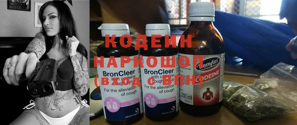 твердый Дмитровск