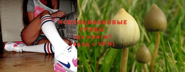 винт Елабуга