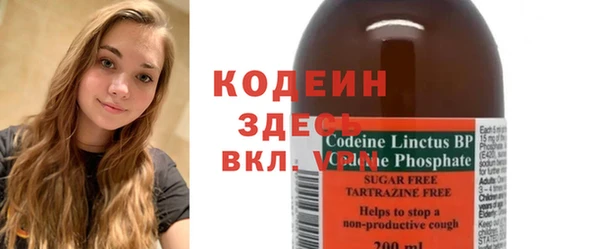 apvp Ельня