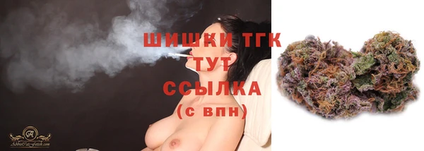 apvp Ельня
