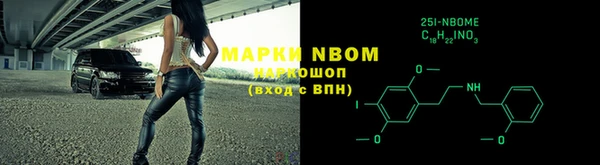 apvp Ельня