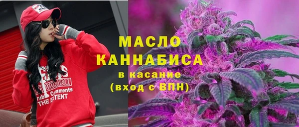 винт Елабуга