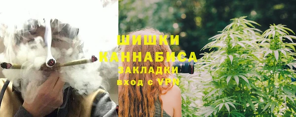 винт Елабуга