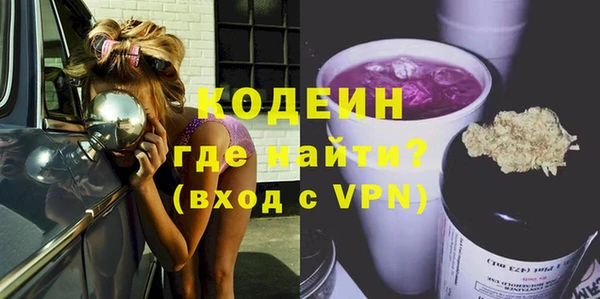 apvp Ельня