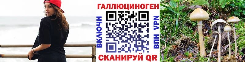 Псилоцибиновые грибы прущие грибы  Изобильный 